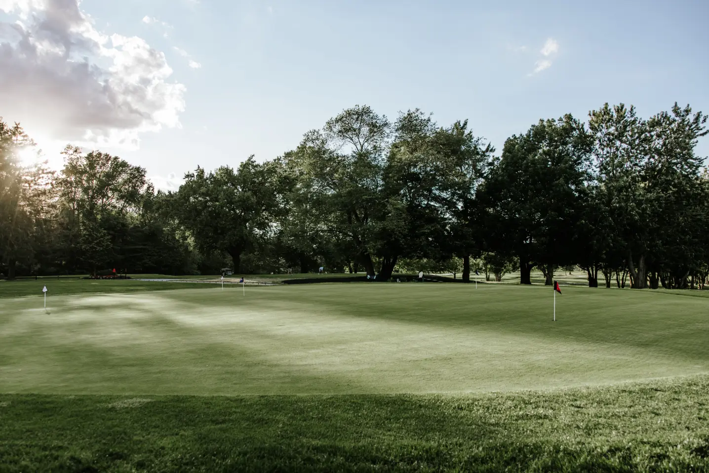 Ramblewood Staff Picks Ramblewood Staff Picks