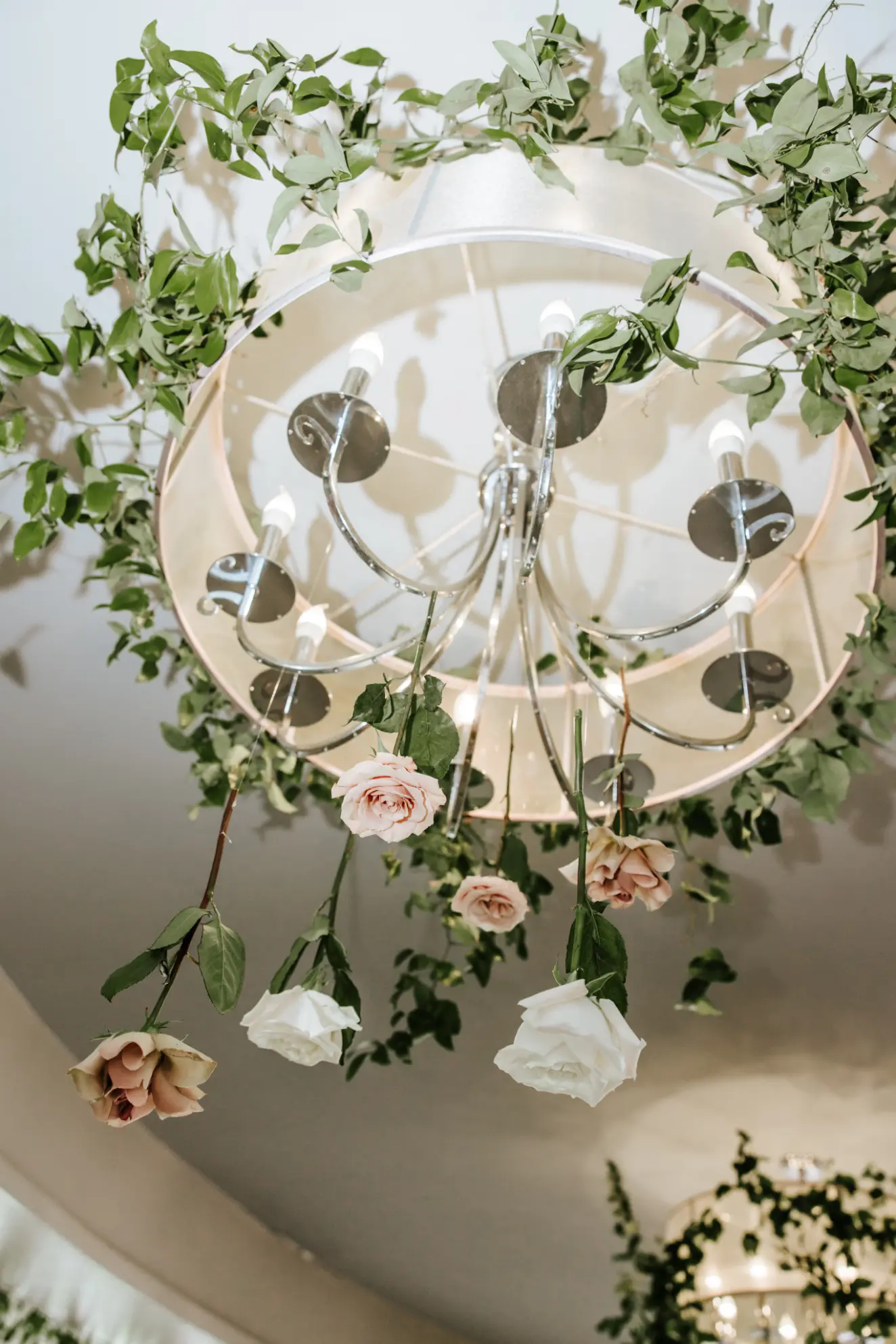 Ramblewood Staff Picks Ramblewood Staff Picks