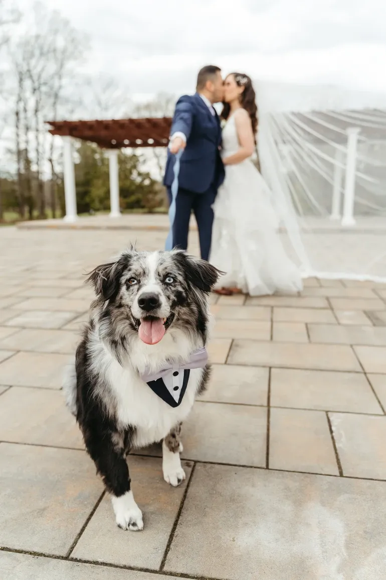 running deer golf club running deer golf club